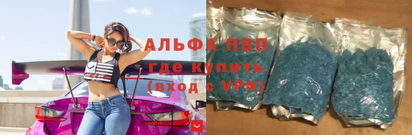 амф Козельск