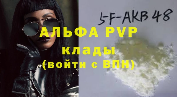 гидра Козловка