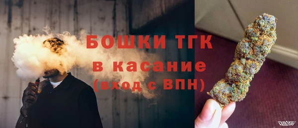амф Козельск