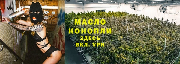 гидра Козловка