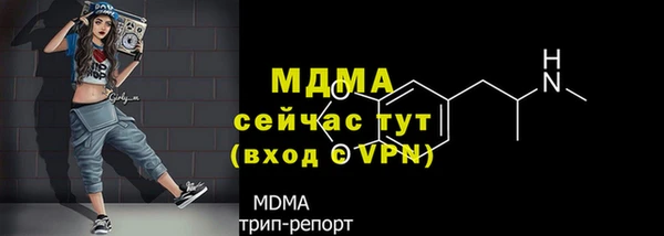 гидра Козловка