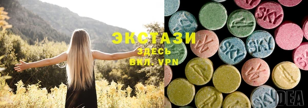 амф Козельск