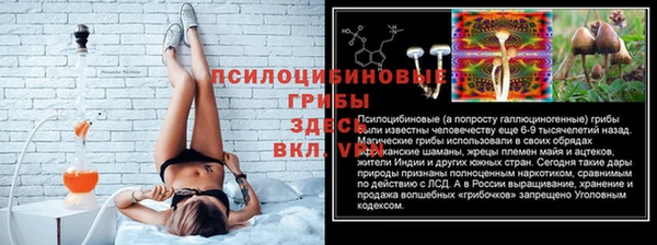 гидра Козловка
