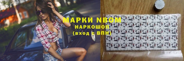 гидра Козловка