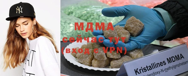 гидра Козловка