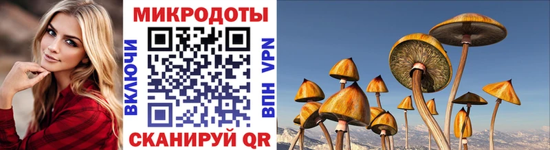 Купить закладки  Георгиевск  Галлюциногенные грибы мухоморы 